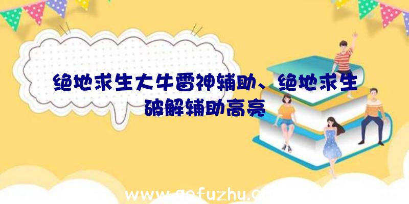 绝地求生大牛雷神辅助、绝地求生破解辅助高亮