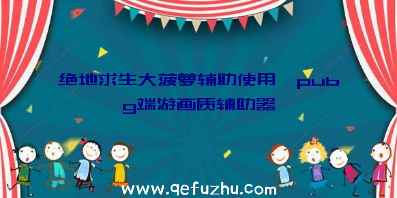 绝地求生大菠萝辅助使用、pubg端游画质辅助器