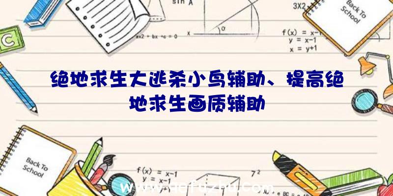 绝地求生大逃杀小鸟辅助、提高绝地求生画质辅助