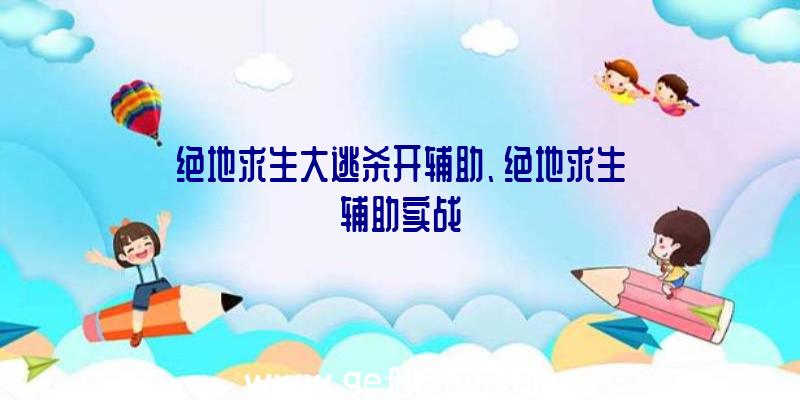 绝地求生大逃杀开辅助、绝地求生辅助实战