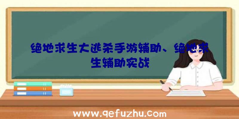 绝地求生大逃杀手游辅助、绝地求生辅助实战