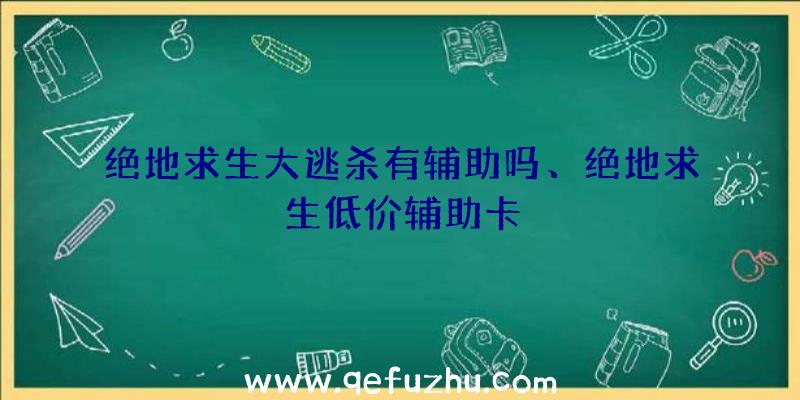 绝地求生大逃杀有辅助吗、绝地求生低价辅助卡