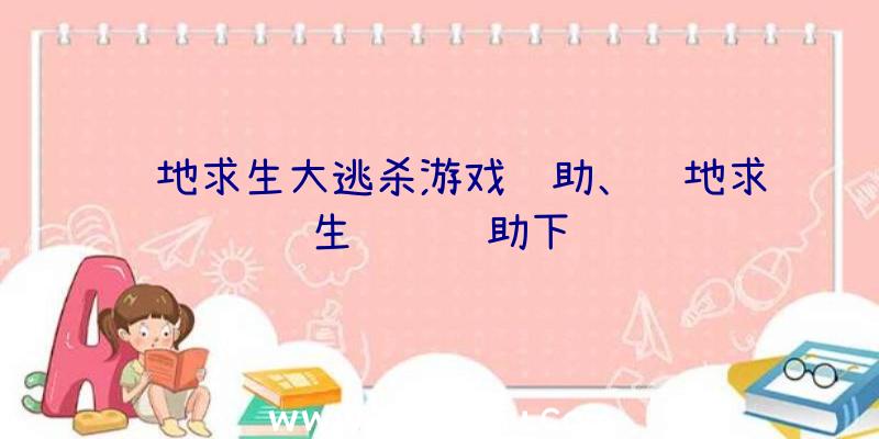 绝地求生大逃杀游戏辅助、绝地求生轩辕辅助下载