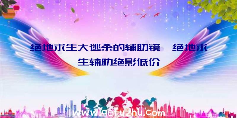 绝地求生大逃杀的辅助镜、绝地求生辅助绝影低价