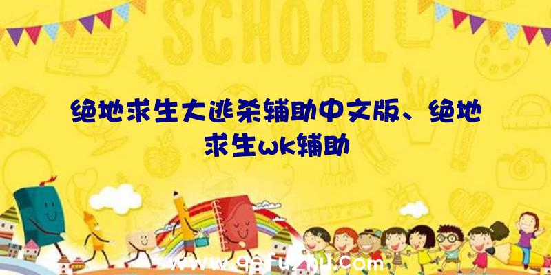 绝地求生大逃杀辅助中文版、绝地求生wk辅助