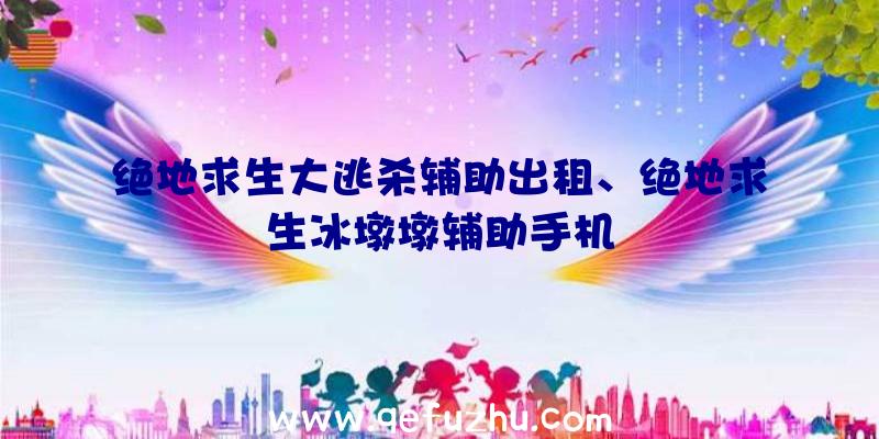 绝地求生大逃杀辅助出租、绝地求生冰墩墩辅助手机