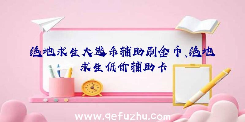 绝地求生大逃杀辅助刷金币、绝地求生低价辅助卡