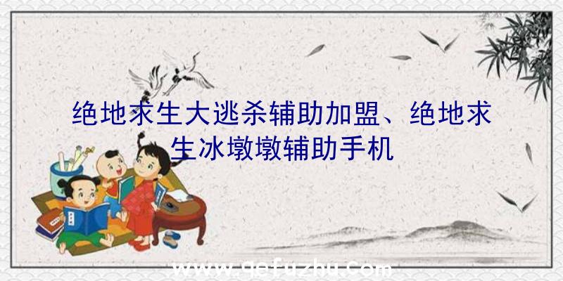 绝地求生大逃杀辅助加盟、绝地求生冰墩墩辅助手机