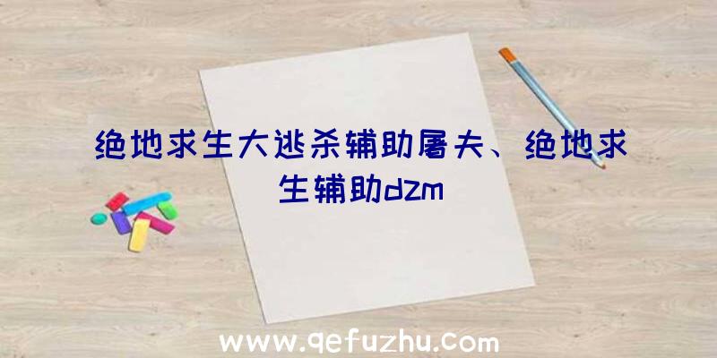 绝地求生大逃杀辅助屠夫、绝地求生辅助dzm