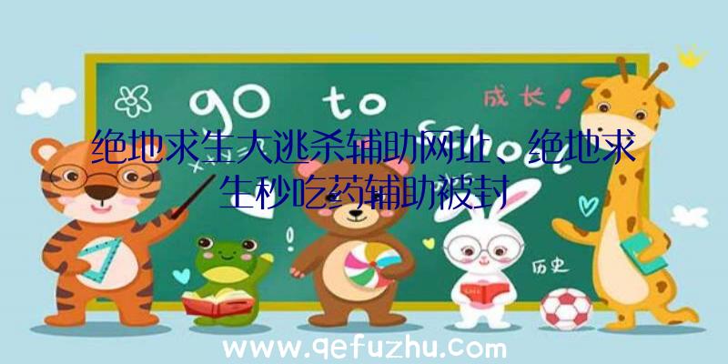 绝地求生大逃杀辅助网址、绝地求生秒吃药辅助被封