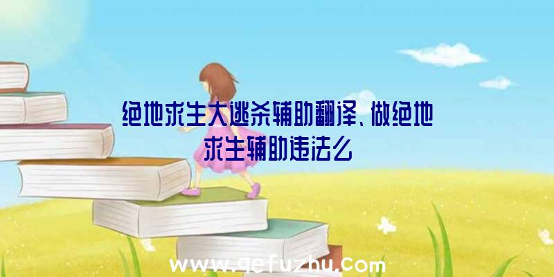 绝地求生大逃杀辅助翻译、做绝地求生辅助违法么