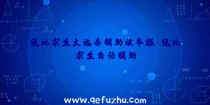 绝地求生大逃杀辅助被举报、绝地求生自动辅助