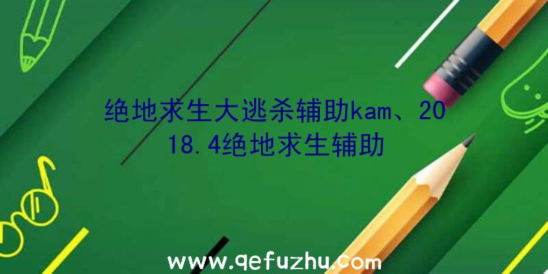 绝地求生大逃杀辅助kam、2018.4绝地求生辅助