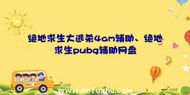 绝地求生大逃杀4am辅助、绝地求生pubg辅助网盘