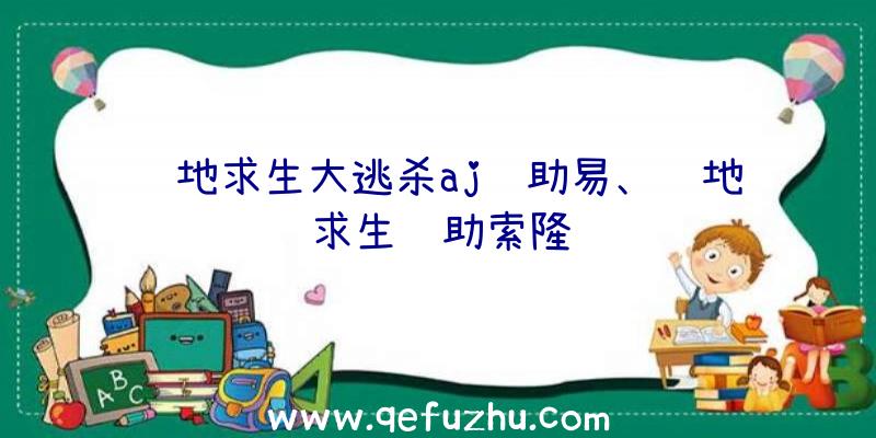 绝地求生大逃杀aj辅助易、绝地求生辅助索隆