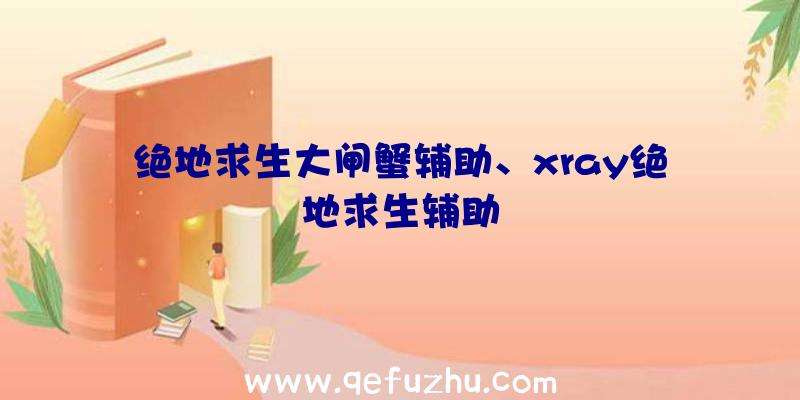 绝地求生大闸蟹辅助、xray绝地求生辅助