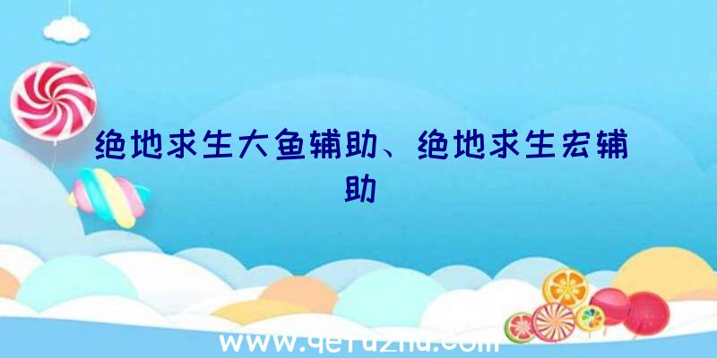 绝地求生大鱼辅助、绝地求生宏辅助