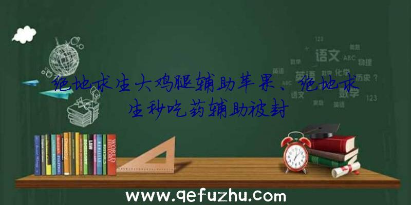 绝地求生大鸡腿辅助苹果、绝地求生秒吃药辅助被封