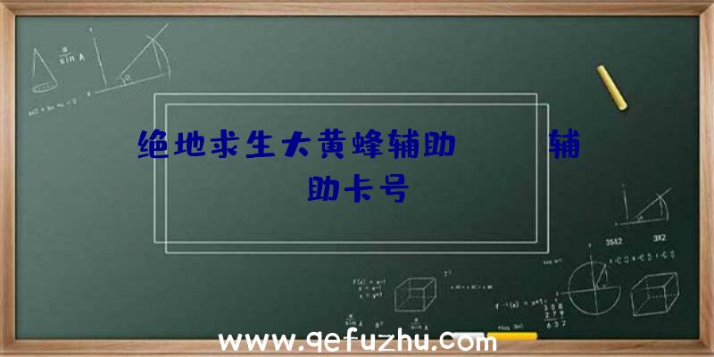 绝地求生大黄蜂辅助、pubg辅助卡号