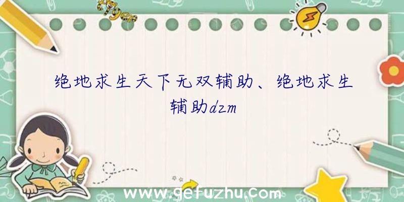 绝地求生天下无双辅助、绝地求生辅助dzm