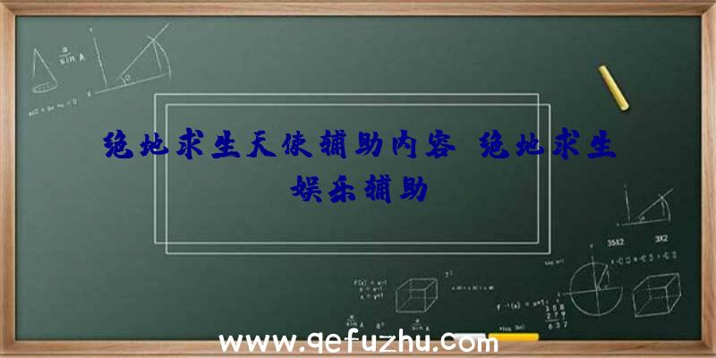 绝地求生天使辅助内容、绝地求生娱乐辅助