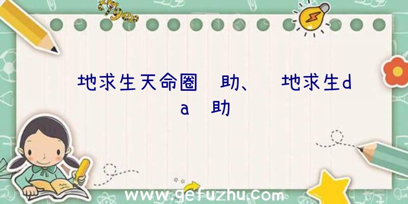 绝地求生天命圈辅助、绝地求生da辅助