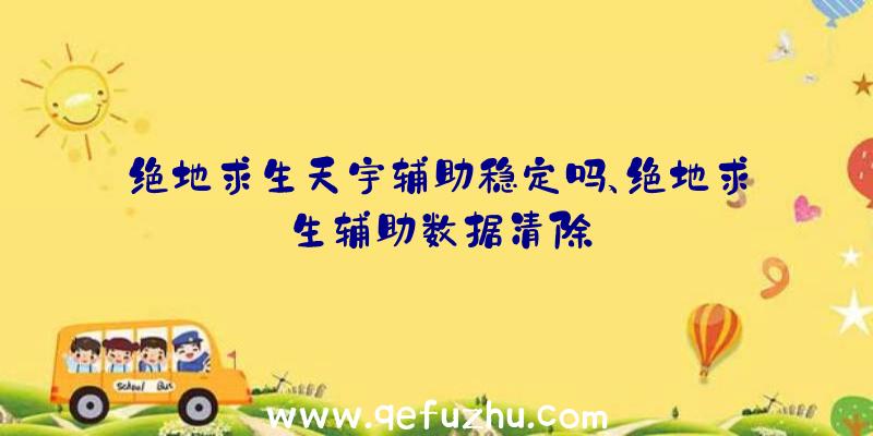 绝地求生天宇辅助稳定吗、绝地求生辅助数据清除