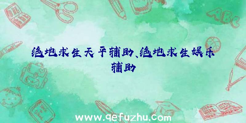 绝地求生天平辅助、绝地求生娱乐辅助