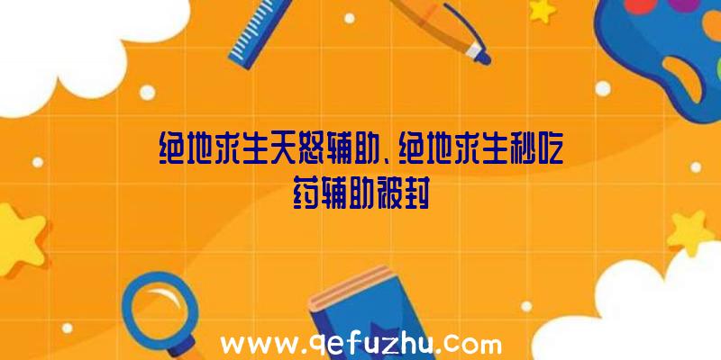 绝地求生天怒辅助、绝地求生秒吃药辅助被封