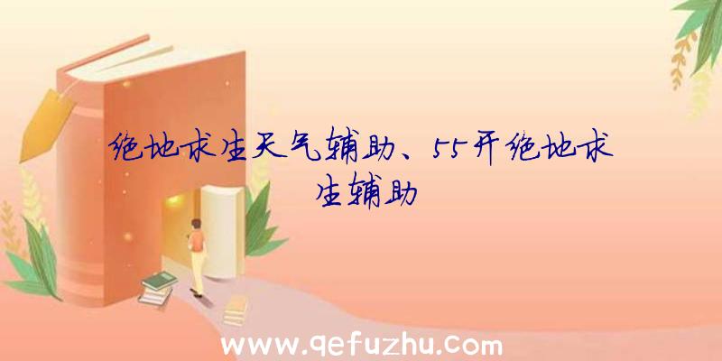 绝地求生天气辅助、55开绝地求生辅助