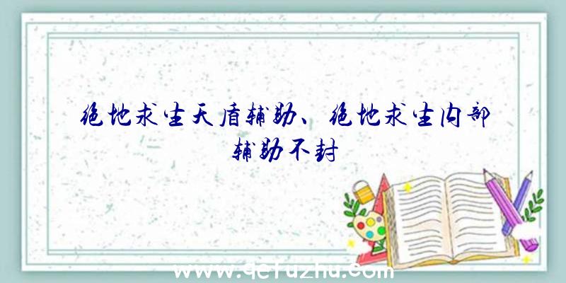 绝地求生天盾辅助、绝地求生内部辅助不封