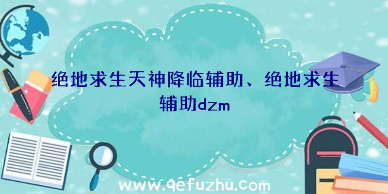 绝地求生天神降临辅助、绝地求生辅助dzm