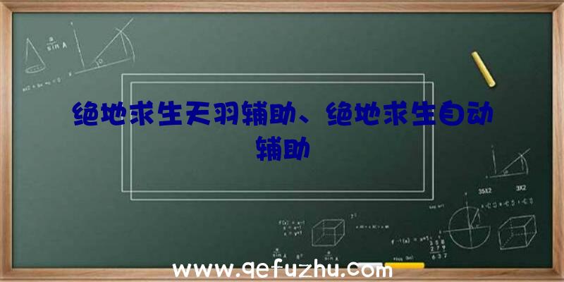 绝地求生天羽辅助、绝地求生自动辅助