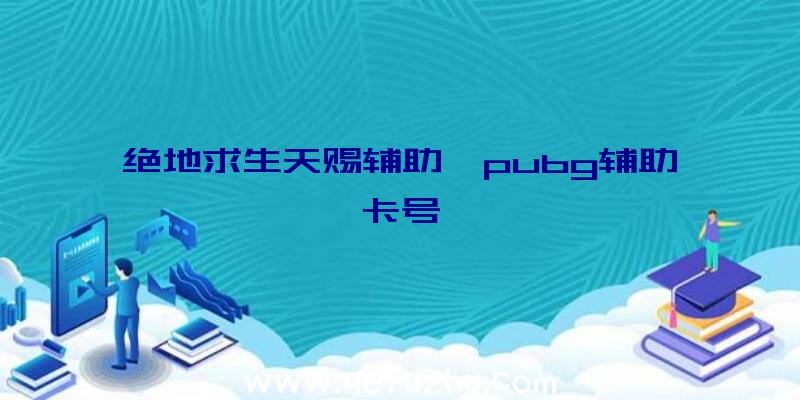 绝地求生天赐辅助、pubg辅助卡号