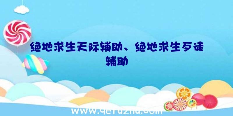 绝地求生天际辅助、绝地求生歹徒辅助