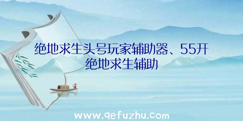 绝地求生头号玩家辅助器、55开绝地求生辅助