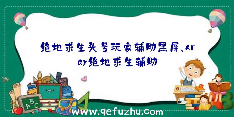 绝地求生头号玩家辅助黑屏、xray绝地求生辅助