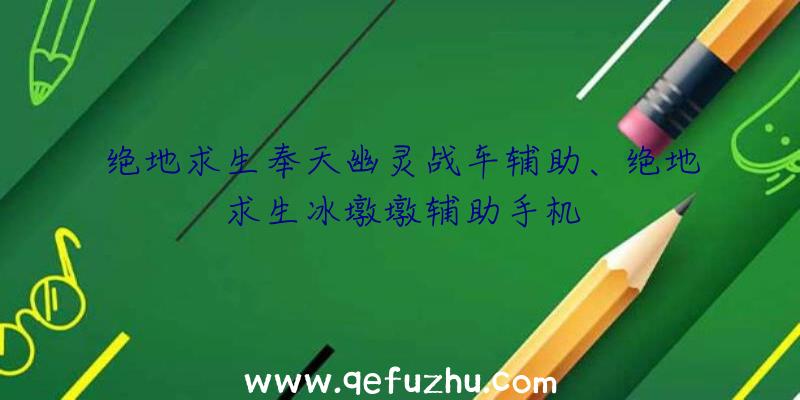 绝地求生奉天幽灵战车辅助、绝地求生冰墩墩辅助手机