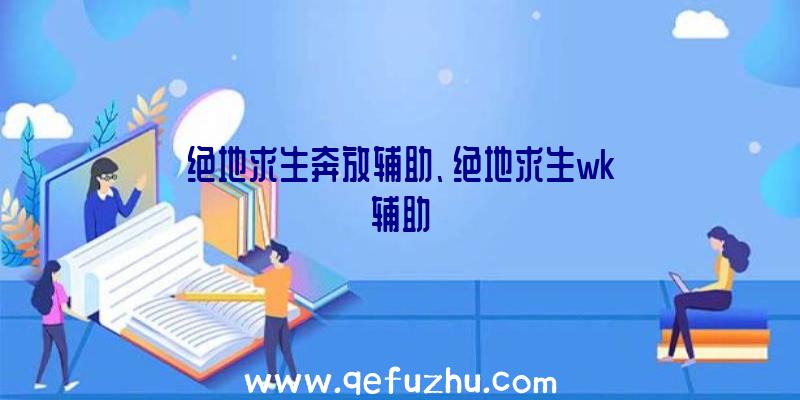 绝地求生奔放辅助、绝地求生wk辅助