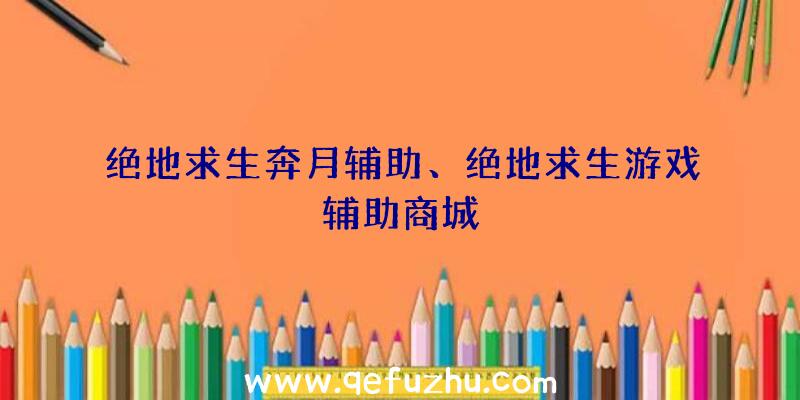 绝地求生奔月辅助、绝地求生游戏辅助商城