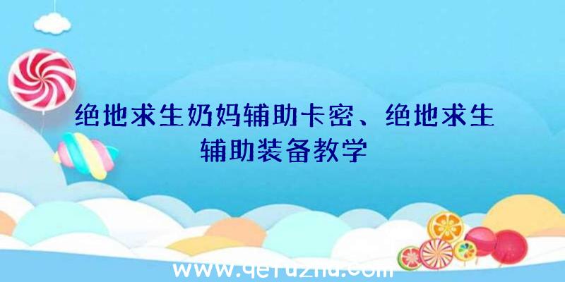 绝地求生奶妈辅助卡密、绝地求生辅助装备教学