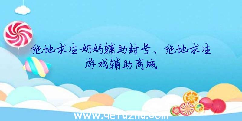 绝地求生奶妈辅助封号、绝地求生游戏辅助商城