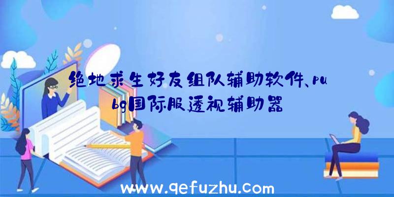 绝地求生好友组队辅助软件、pubg国际服透视辅助器