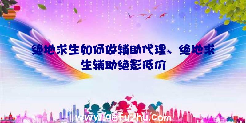 绝地求生如何做辅助代理、绝地求生辅助绝影低价