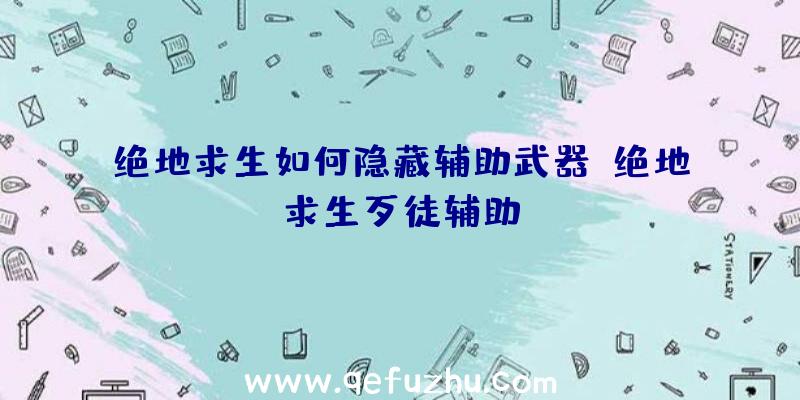 绝地求生如何隐藏辅助武器、绝地求生歹徒辅助