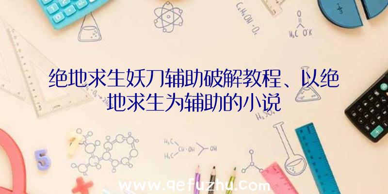 绝地求生妖刀辅助破解教程、以绝地求生为辅助的小说