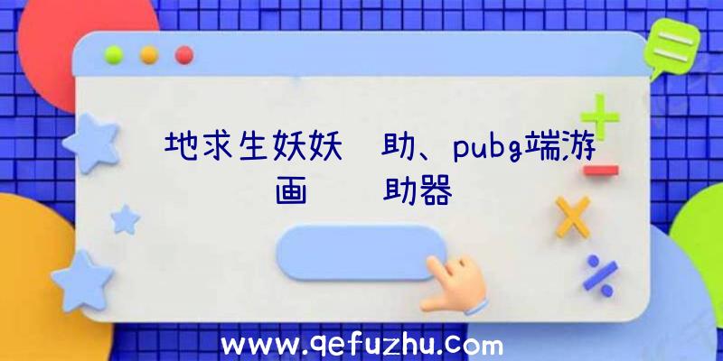 绝地求生妖妖辅助、pubg端游画质辅助器