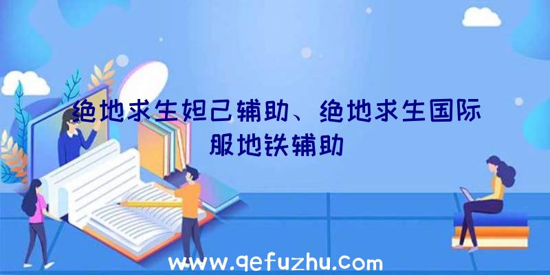 绝地求生妲己辅助、绝地求生国际服地铁辅助