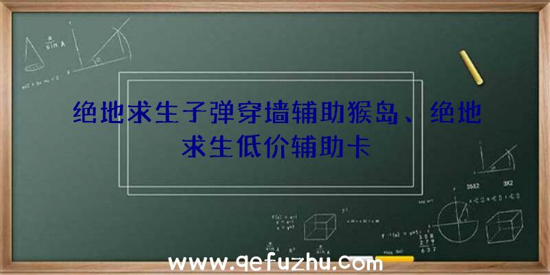 绝地求生子弹穿墙辅助猴岛、绝地求生低价辅助卡