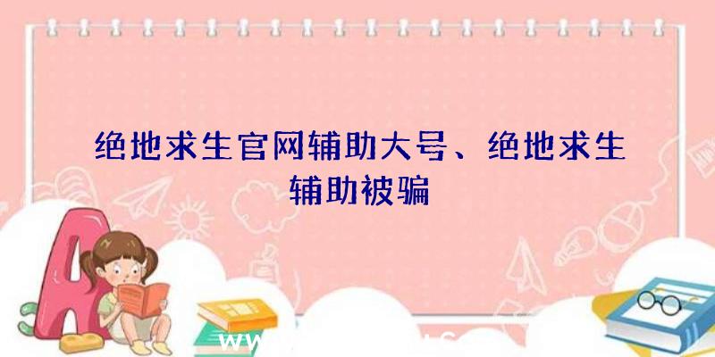 绝地求生官网辅助大号、绝地求生辅助被骗